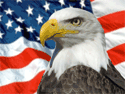 Eagle Flag