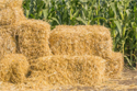 Straw Bales