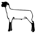 Suffolk Lamb