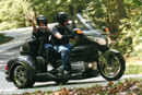Wells Trike