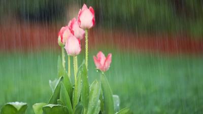 Stofcheck-Ballinger Funeral Home